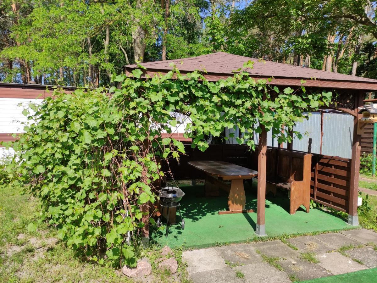 Villa Joanna เมียนซิดดรอแย ภายนอก รูปภาพ